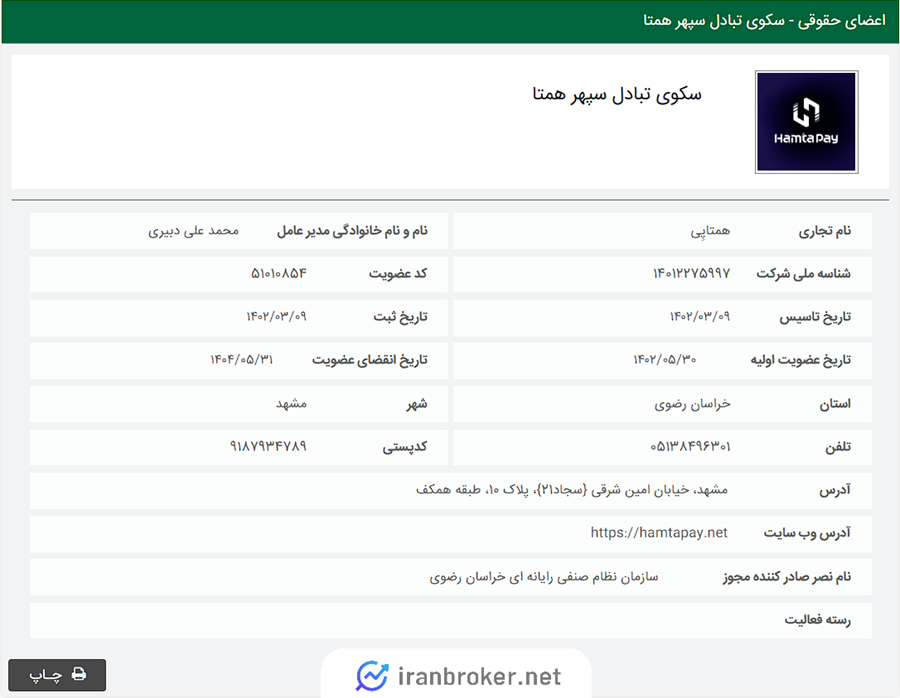 همتاپی در نظام صنفی رایانه ای