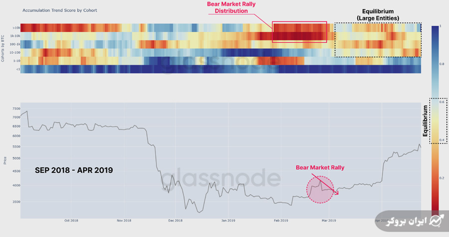 BTC accumulation trend score by cohort.
