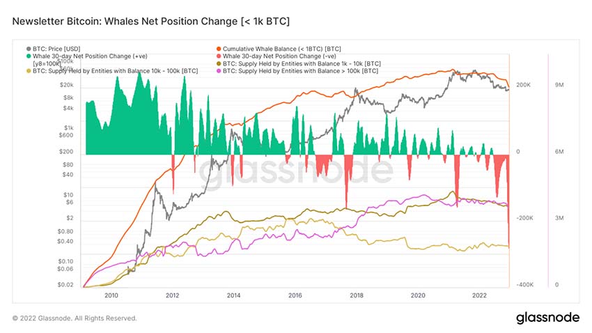bitcoin whales net position change