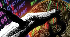 bitcoin whales net position cover