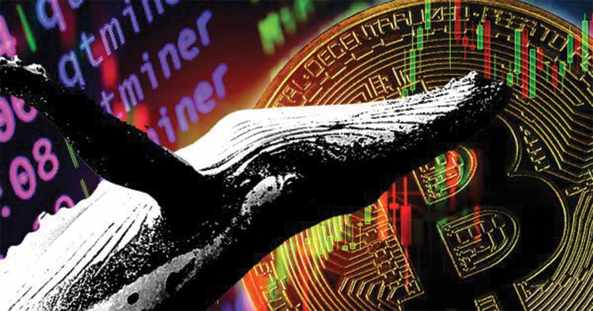 bitcoin whales net position cover