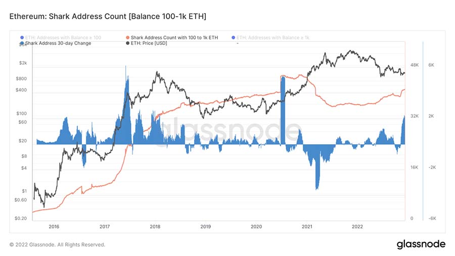ethereum shark address count