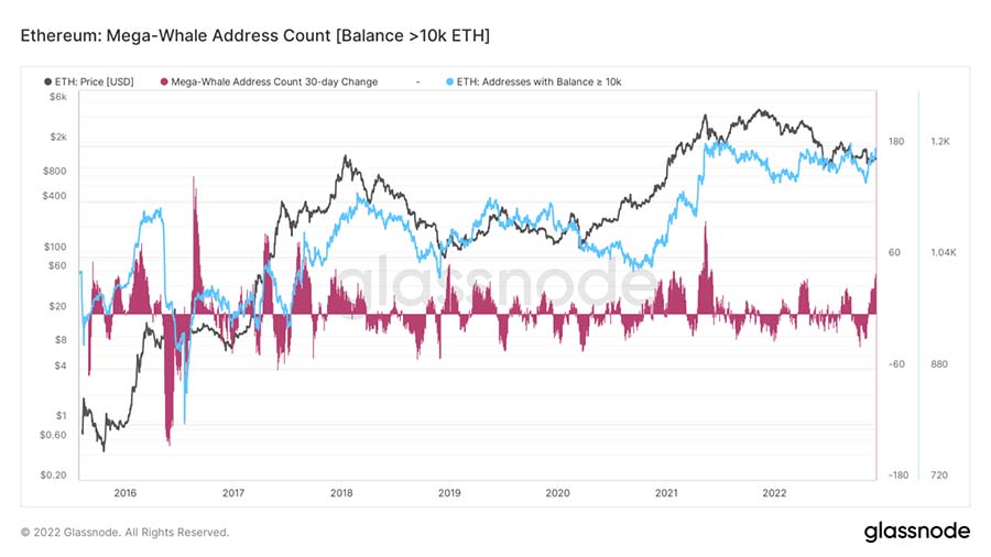 ethereum whale address count