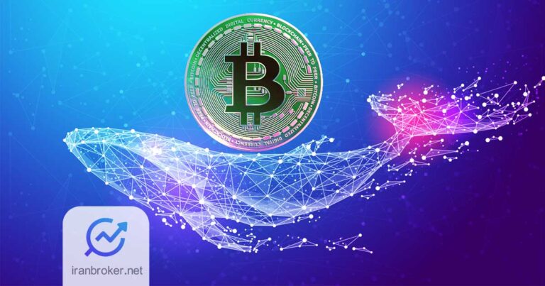 نهنگ ارز دیجیتال چیست و چگونه بر بازار ارزهای دیجیتال تأثیر می‌گذارد؟