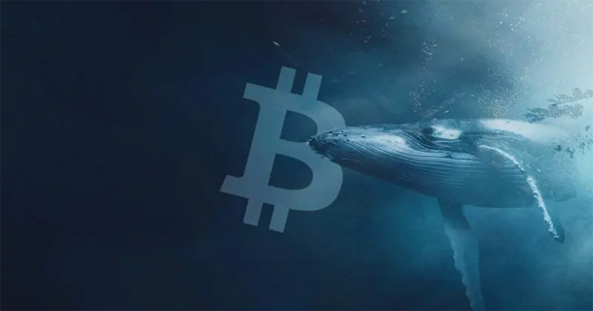 bitcoin whale