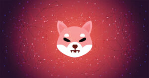 shiba inu coin