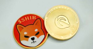Shiba Inus recovery faced difficulty