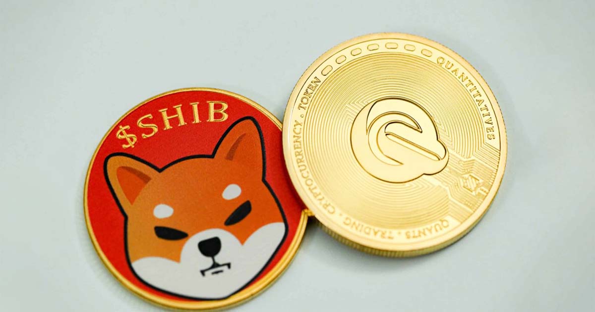 Shiba Inus recovery faced difficulty