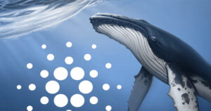 ada whales increase