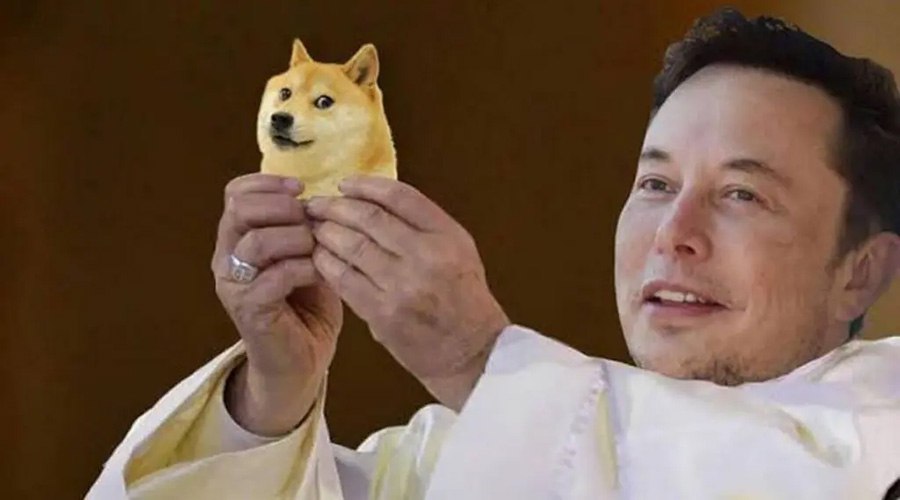 can doge rise again