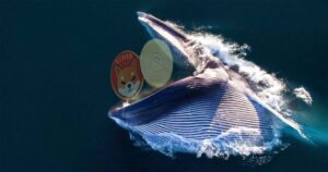 shiba whale graabed major shib