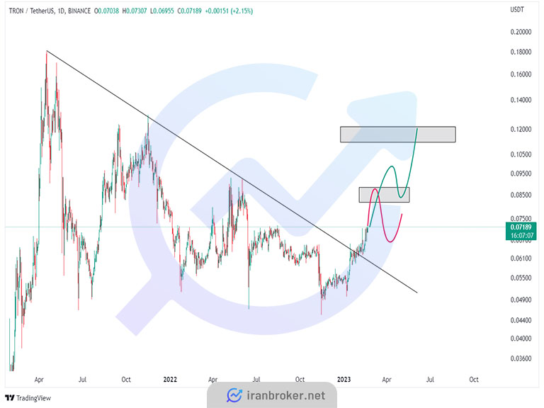 trx chart feb23