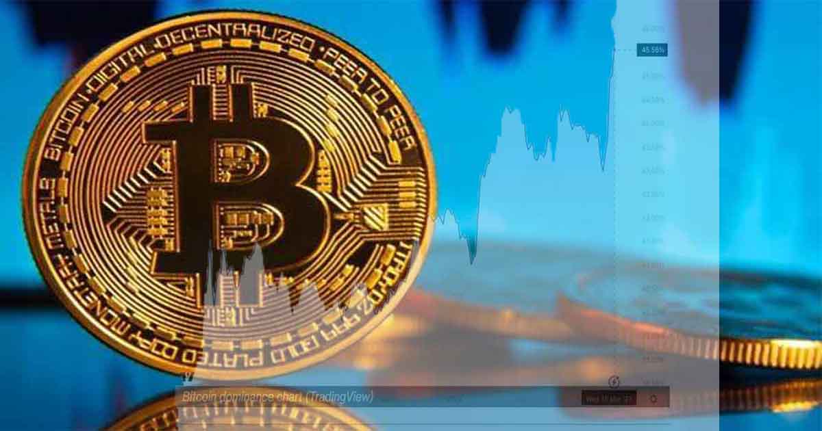 تسلط بیت کوین در بازار ارزدیجیتال