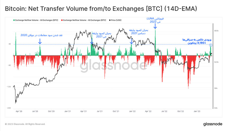 glassnode net transfer volume