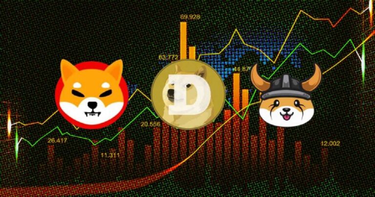 میمکوین فلوکی به دوج کوین و شیبا در صرافی بایننس پیوست!