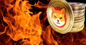 توکن سوزی شیبا
