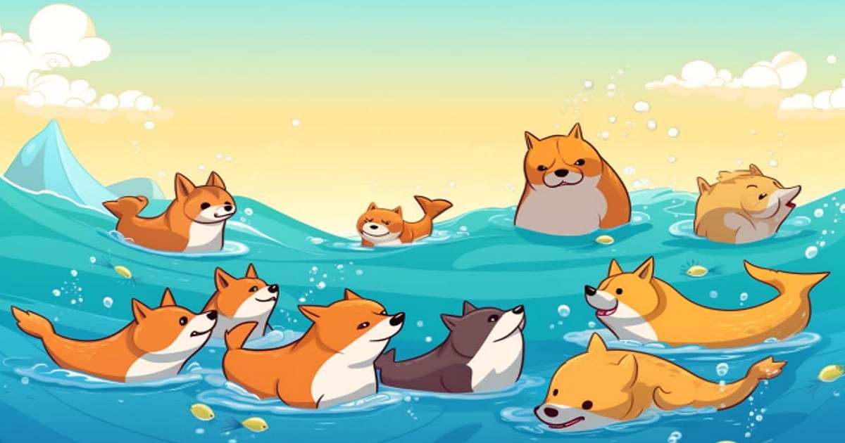 Shiba Inu 2