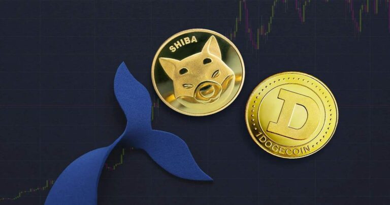 پشت پرده انباشت 20 تریلیون شیبا و 3.4 میلیارد دوج‌کوین توسط یک نهنگ چیست؟