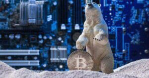 بازار خرسی بیت کوین- Bitcoin's bear market