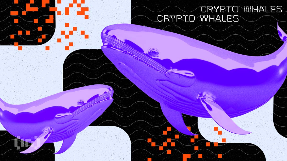 Crypto Bank’ Runs