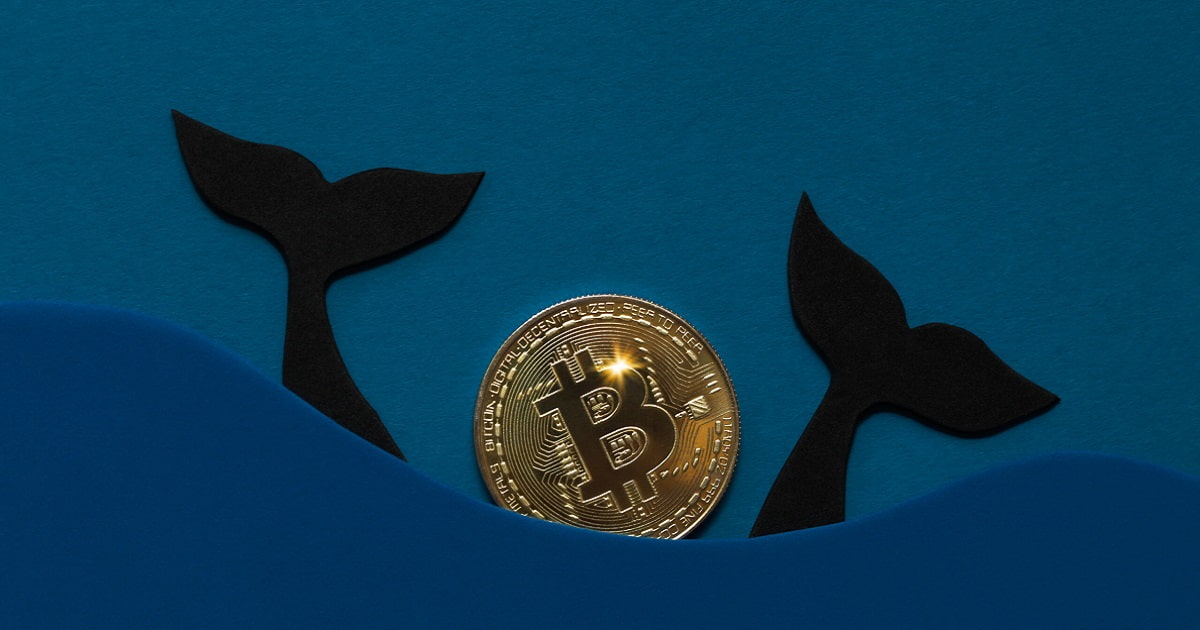 بیت کوین