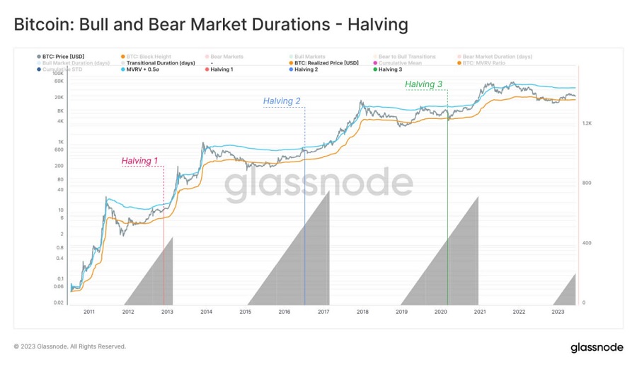bitcoin bull and bear market durations halving