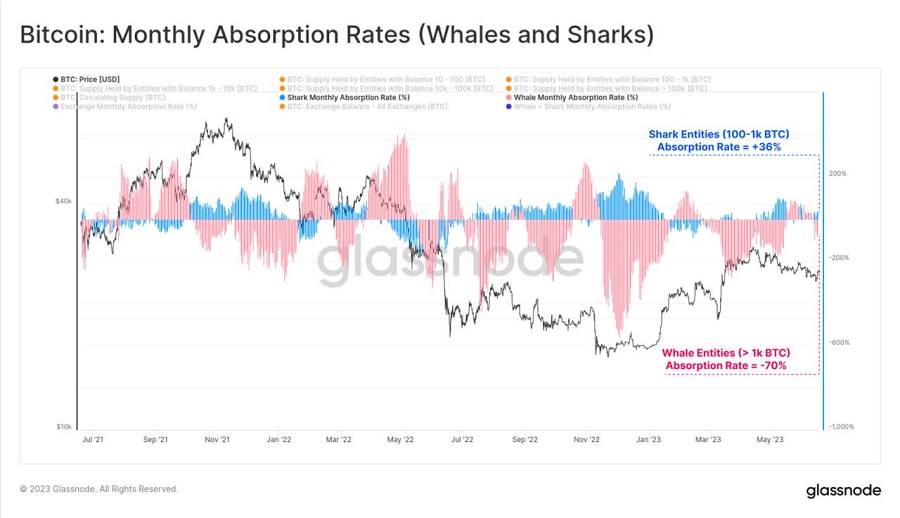 bitcoin monthly absorpotion rates whales and sharks