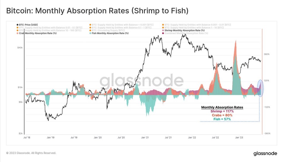bitcoin monthly absorpotion rates