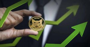 shib rising