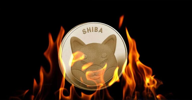 اتفاقی تاریخی؛ افزایش 7000 درصدی توکنسوزی شیبا تنها در یک شبانه روز!