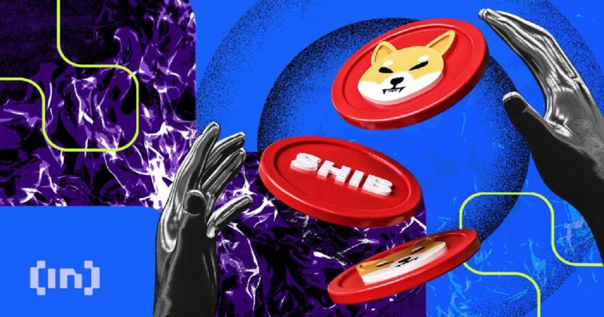 shiba inu burn rate cover 1