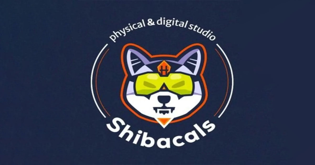 shiba inu introduces shibacals