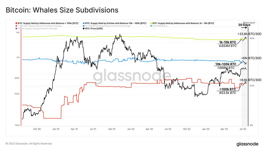 Glassnode Whales Size Subdivision