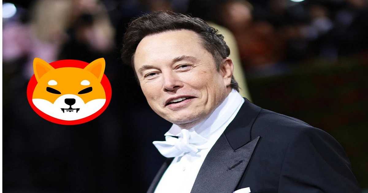 Elon Musk Shiba Inu SHIB
