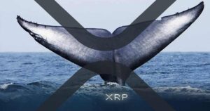 117 whale alert sparks speculation as xrp transfers surge