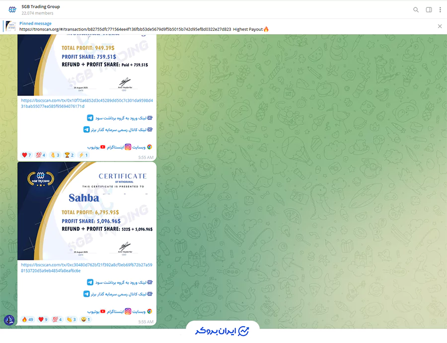 گروه برداشت سود سرمایه گذار برتر