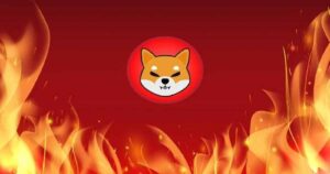 shib 1