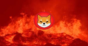 SHIB Burn 2 741x450 1