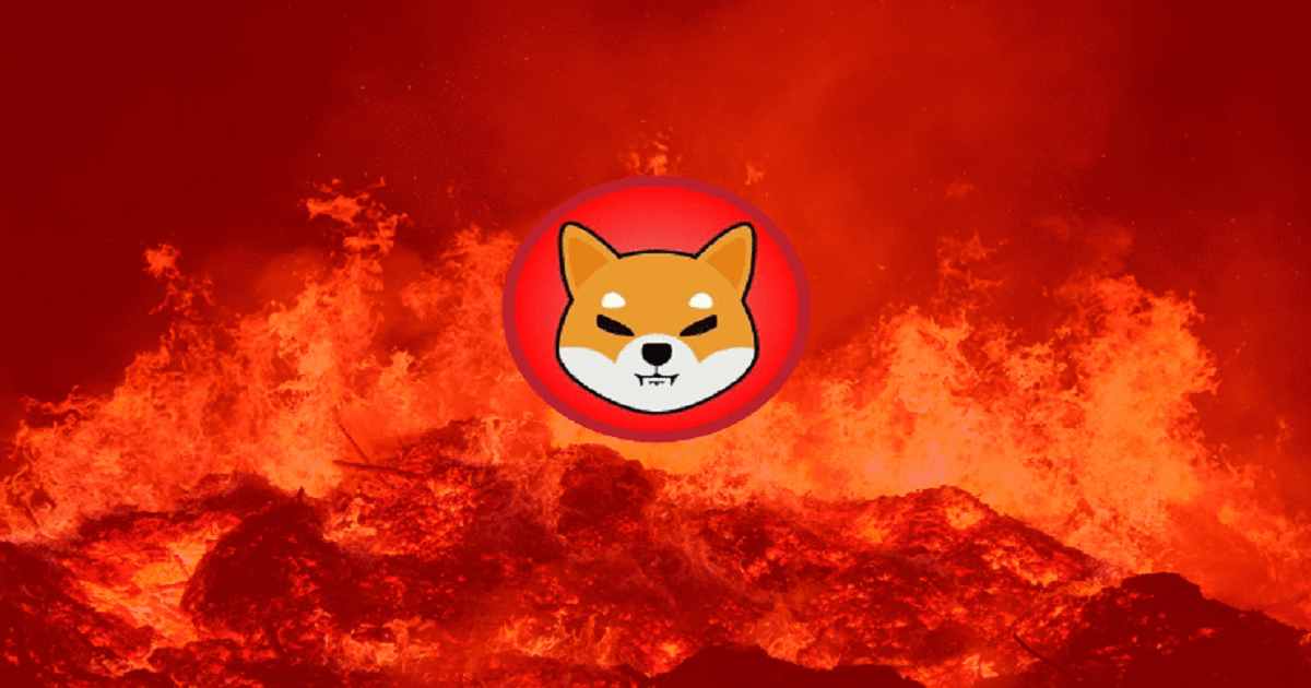 SHIB Burn 2 741x450 1