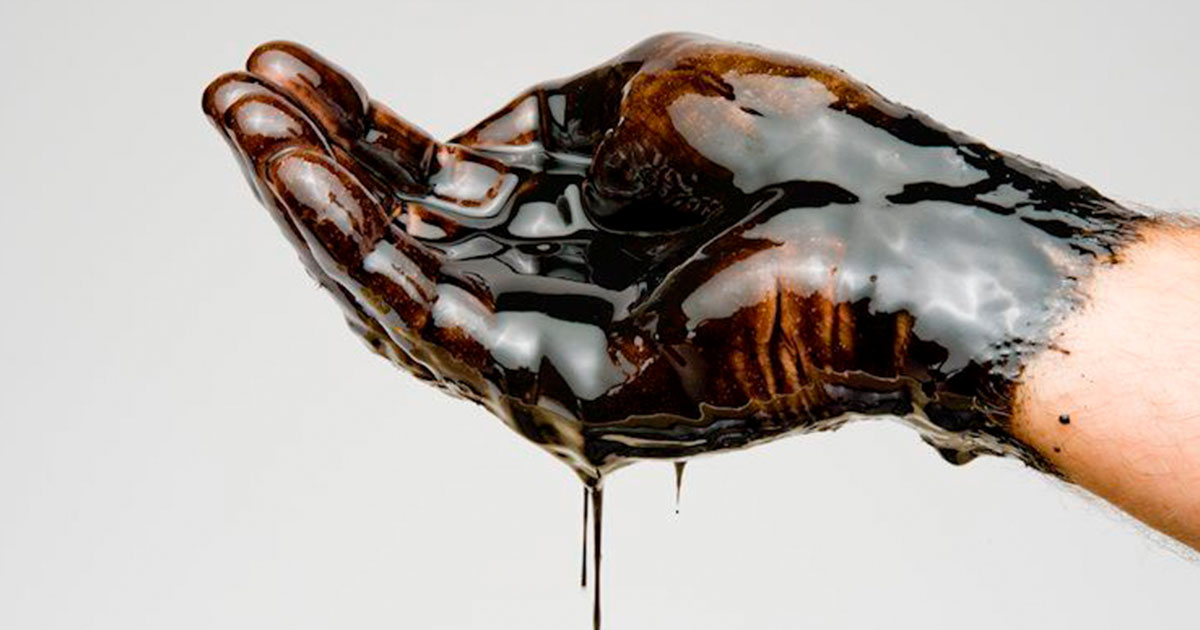 Brent will range between 71 and 93 in 2024 – Rabobank