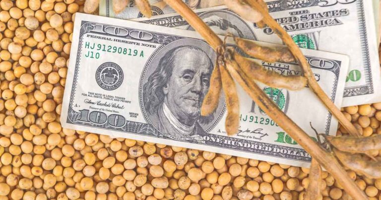 قیمت و بررسی سویا در فارکس