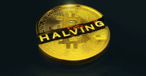 btc halving