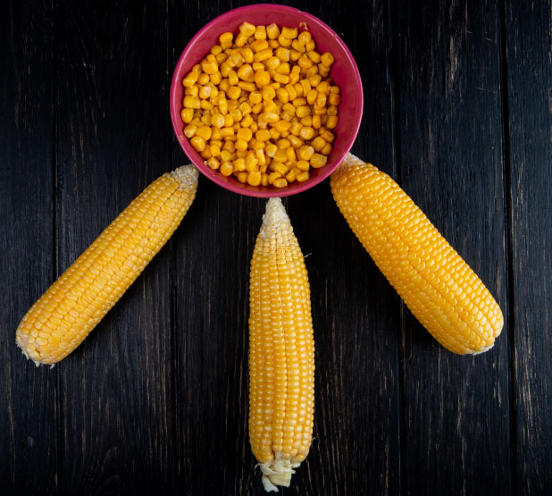 the world price of corn 1