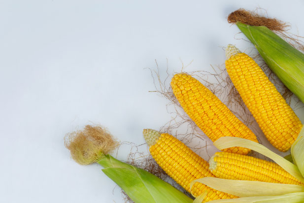 the world price of corn 3