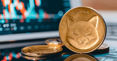 SHIBA