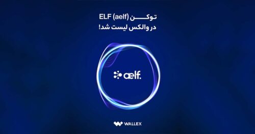 elf 1
