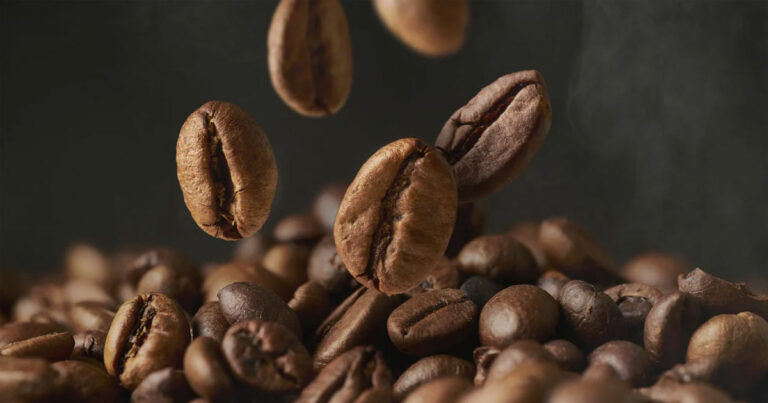 بررسی و قیمت قهوه روبوستا