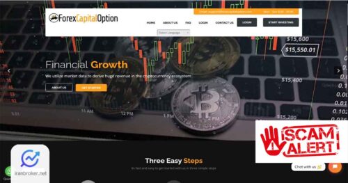 فارکس کپیتال آپشن