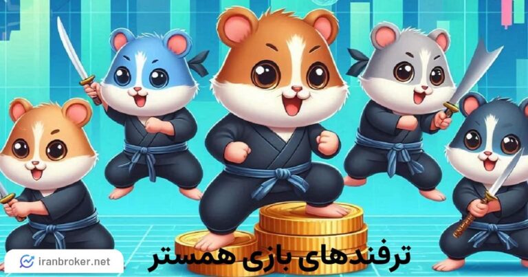 ترفندهای همستر برای افزایش سود | کدام کارت های همستر را ارتقا دهیم؟