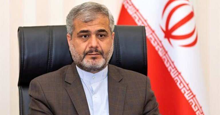 هشدار رئیس کل دادگستری تهران درباره بازی همستر کامبت